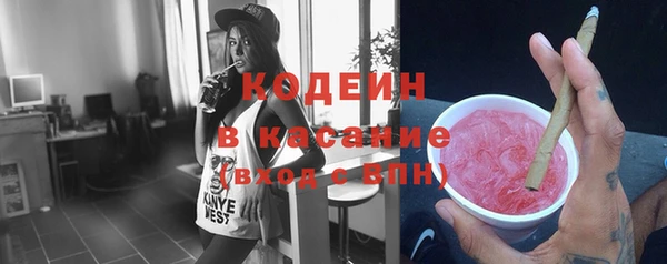 СК Бородино