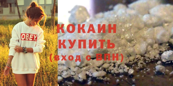 дурь Бронницы