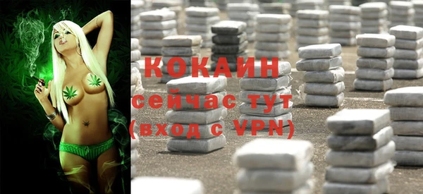 сатива Верхний Тагил