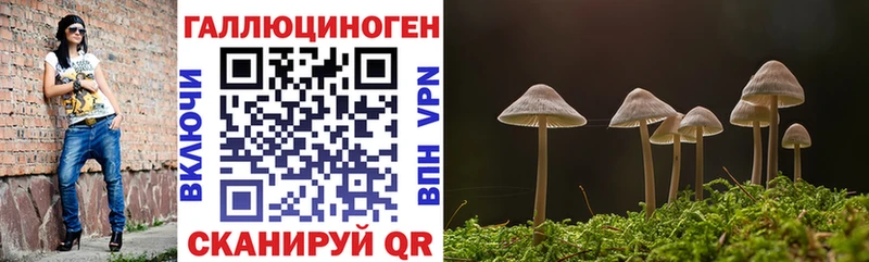 Галлюциногенные грибы GOLDEN TEACHER Свободный
