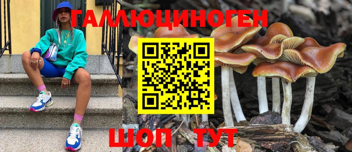 Псилоцибиновые грибы GOLDEN TEACHER  Вход с VPN  Свободный  Псилоцибиновые грибы прущие грибы 