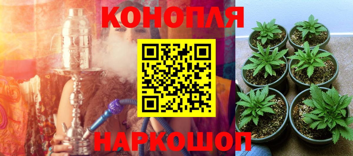 Шишки марихуана Ganja  Вход с VPN  Свободный  Бошки марихуана SATIVA & INDICA 